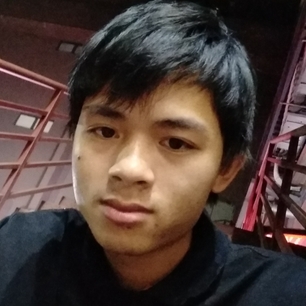 漂泊的一匹狼的照片