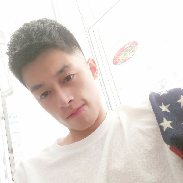 灰鸦的照片