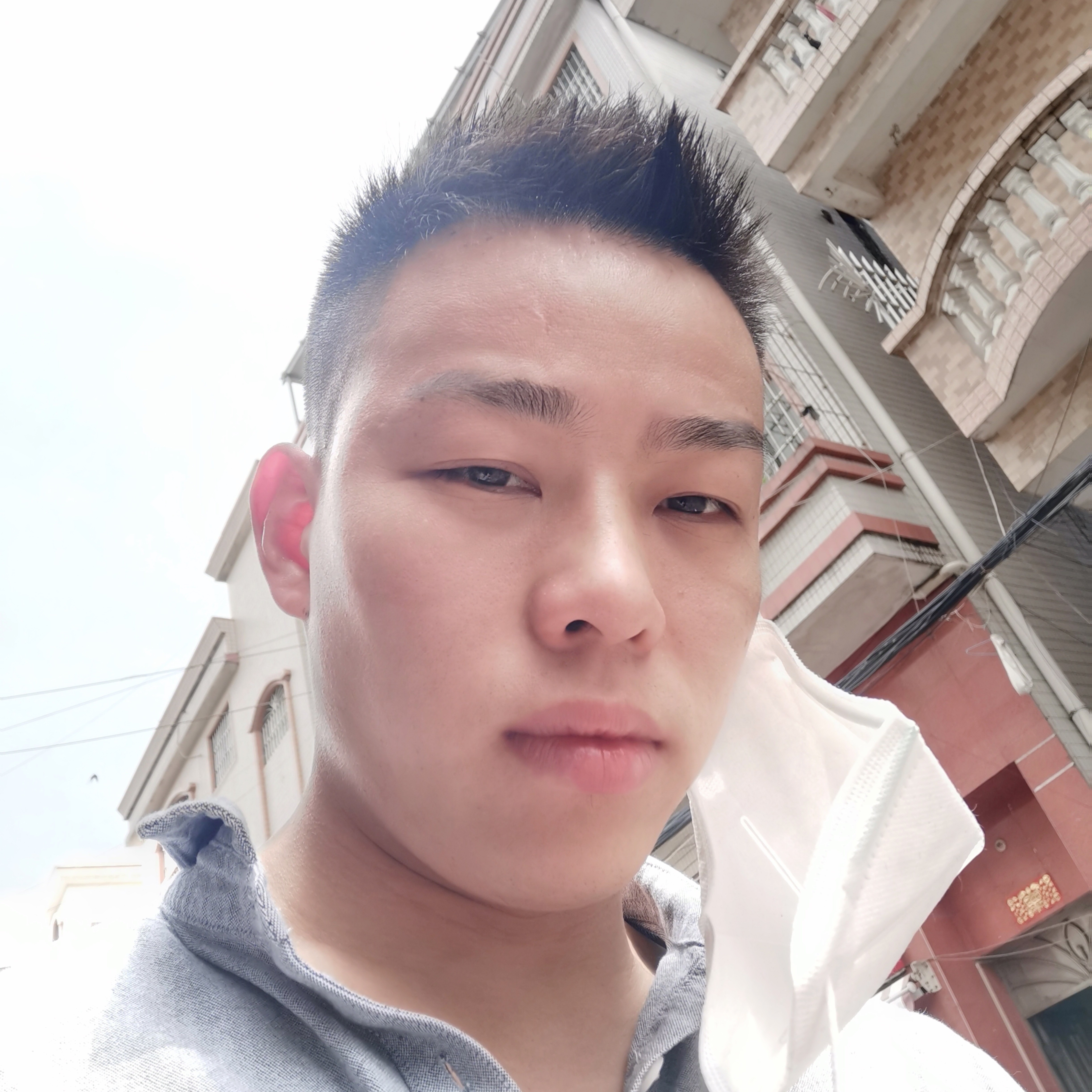 冷静扯枫叶的照片