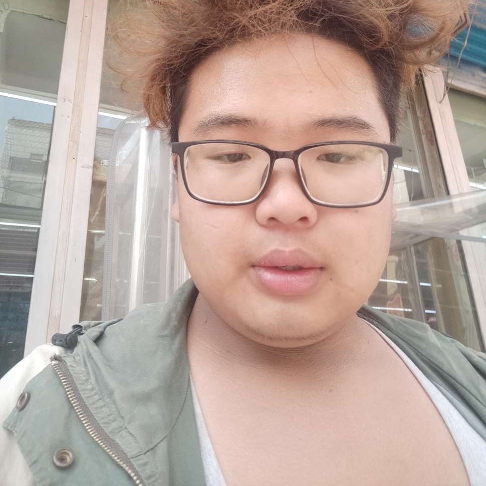 日记本請不安的照片