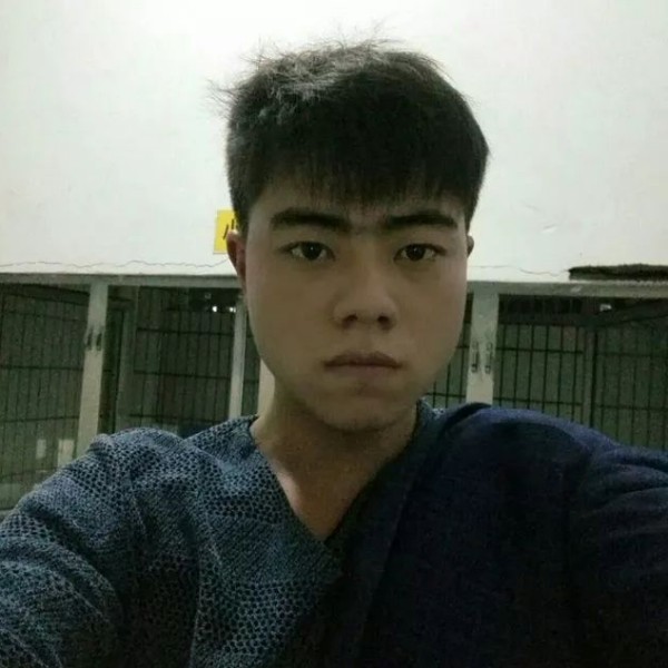 墨镜犹豫的照片