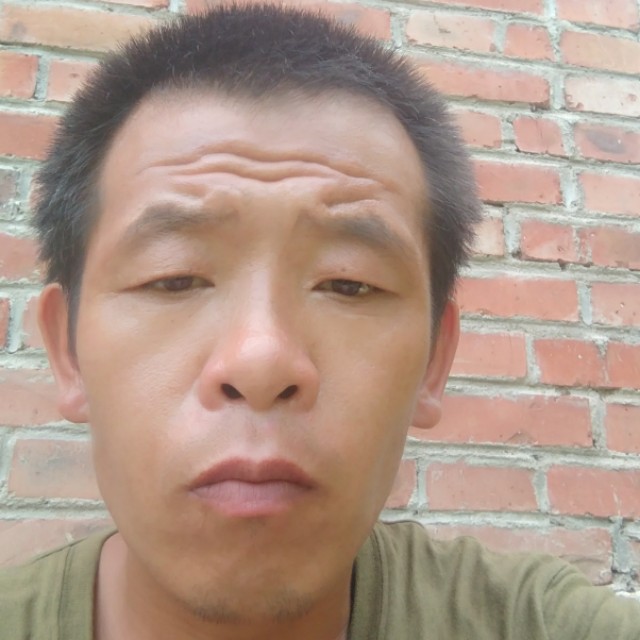 小懒猪迎怕孤独的照片