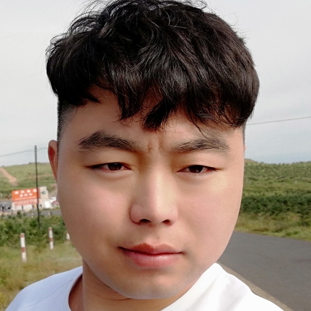 含羞草漫步飘逸的照片