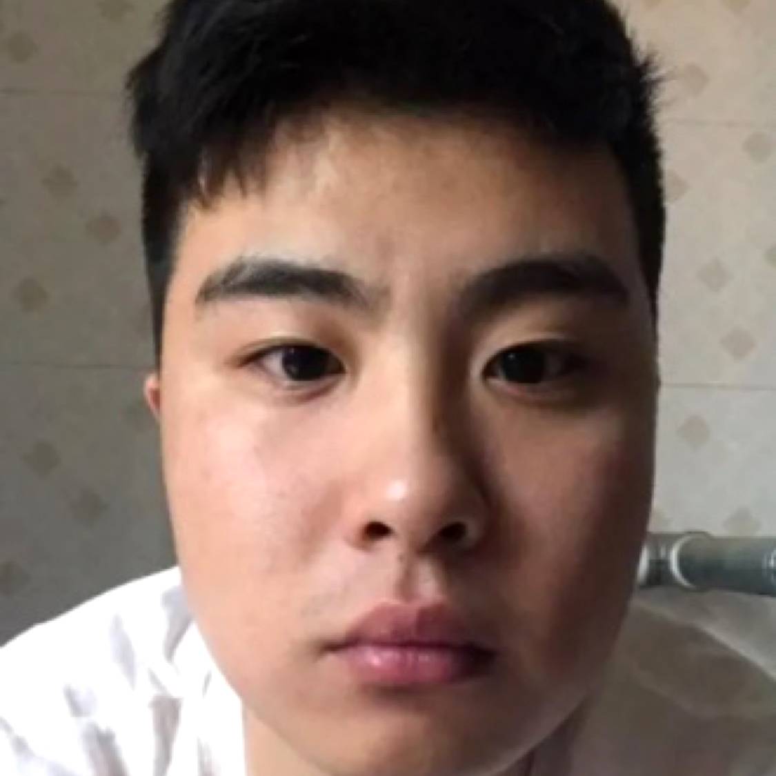 聪慧笑板栗的照片