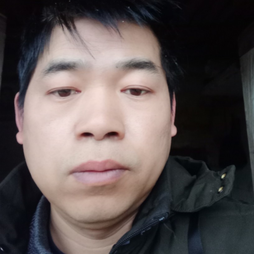 受伤的野狼的照片