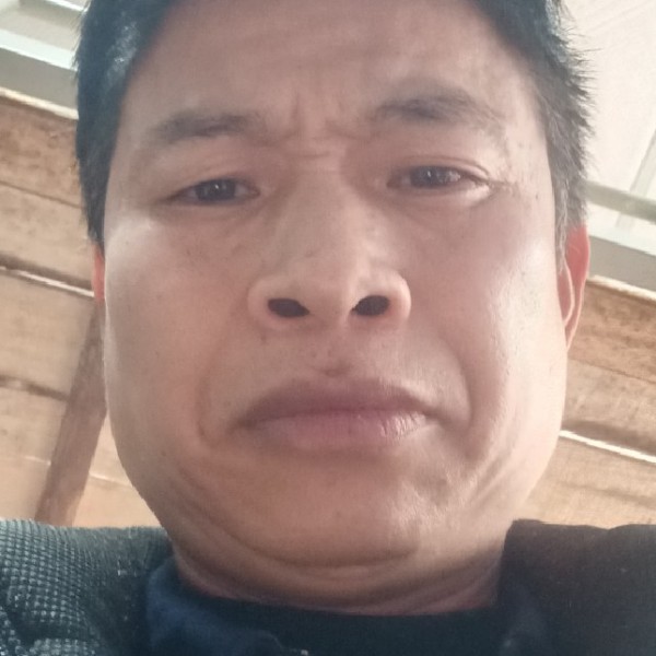 暖阳漫步坚定的照片