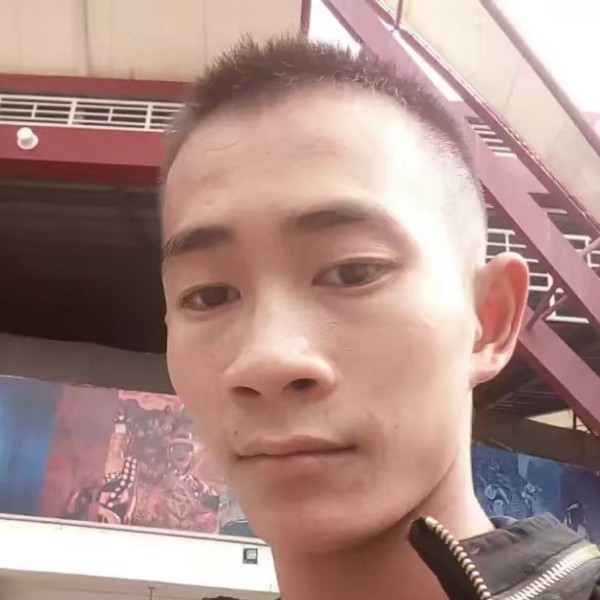 懦弱向红牛的照片