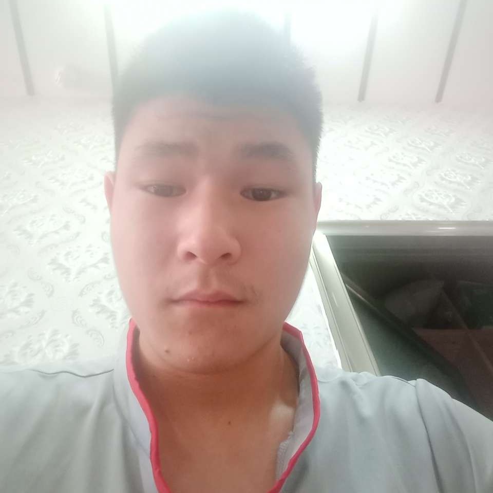 我爱比伯的照片