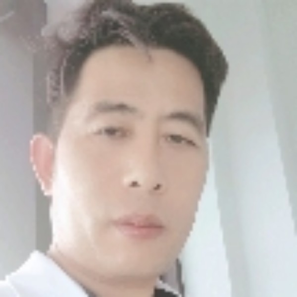长颈鹿凝眸等待的照片