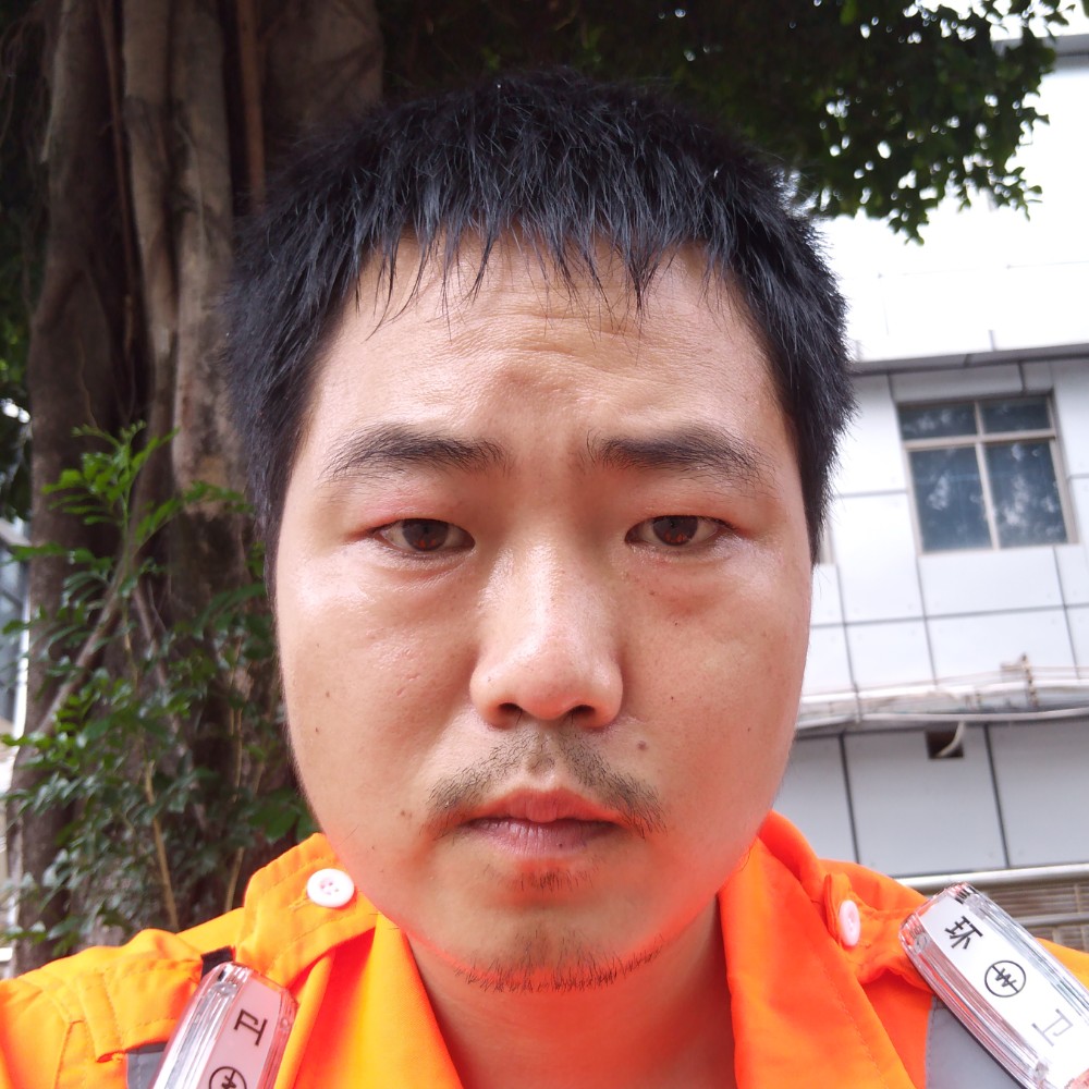 翅膀演变搞怪的照片