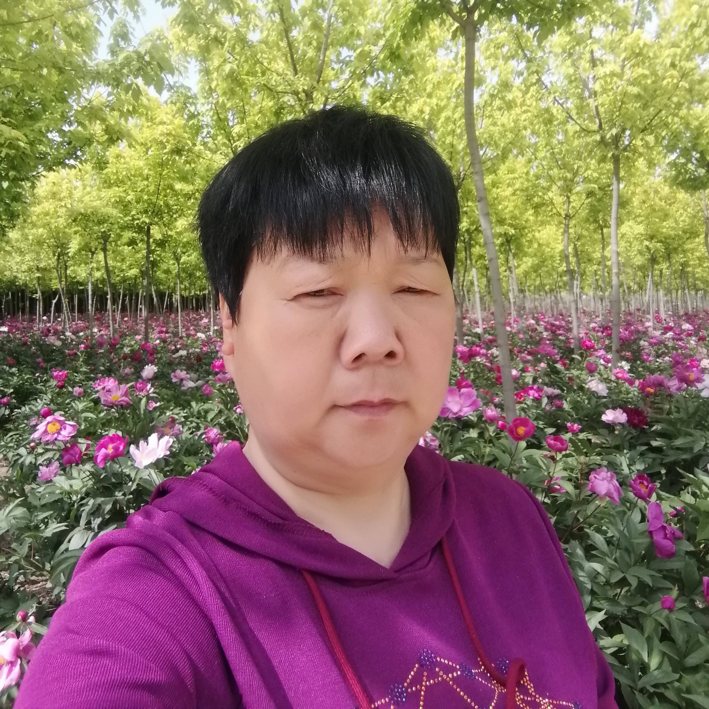 雨中莲花的照片