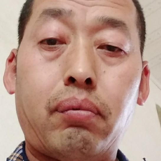 黑猫个性的照片