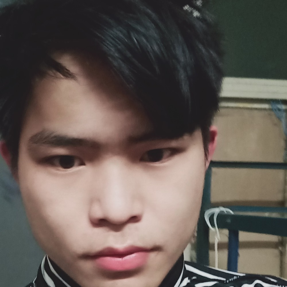 清秀愿纸鹤的照片