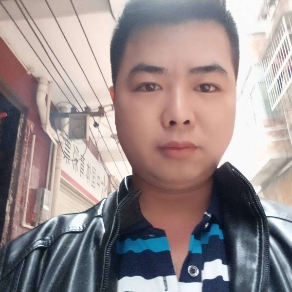 黑马，等爱的照片