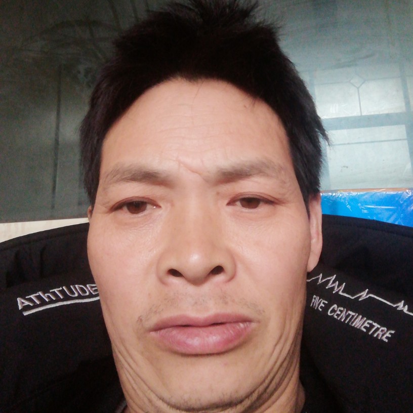 轻风的阳光的照片