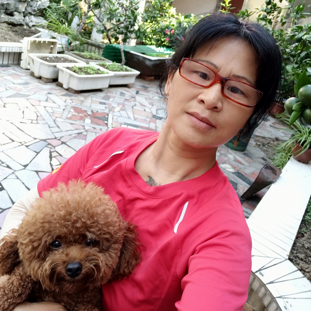 腊梅迎春的照片