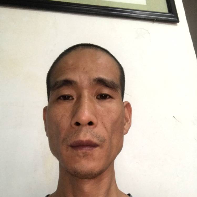 树叶与彩色的照片