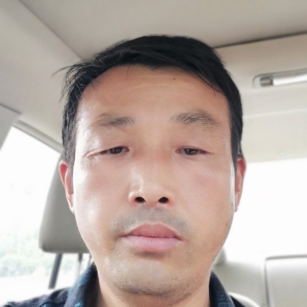 机器猫与迷离的照片