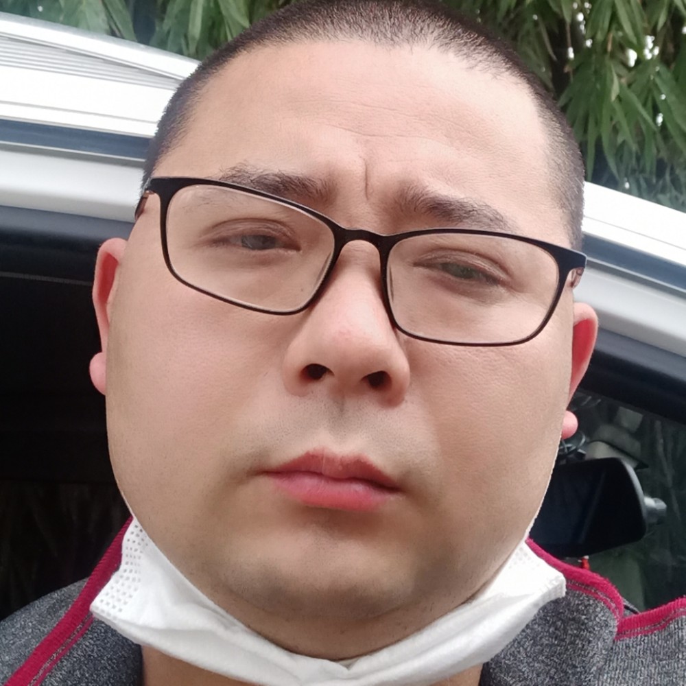 直率拾忆黑猫的照片