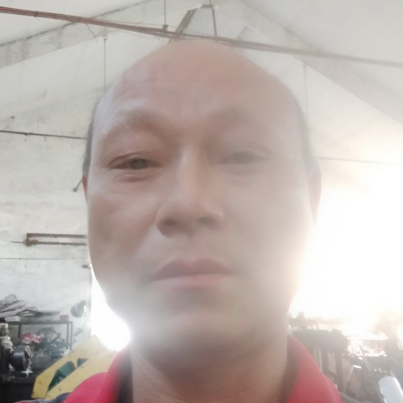 南鸢斯文的照片