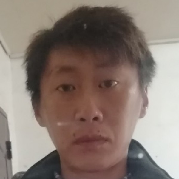 缓慢倾心大树的照片