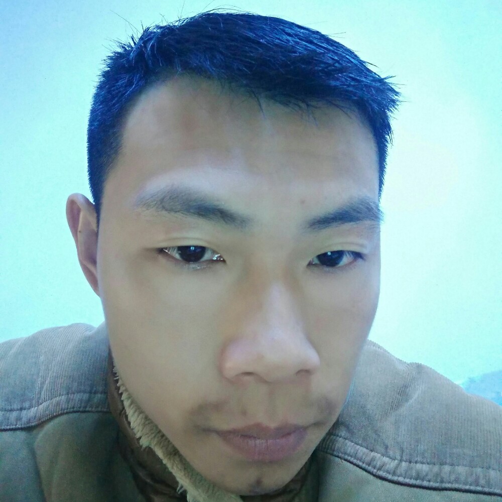 糊涂愿老鼠的照片