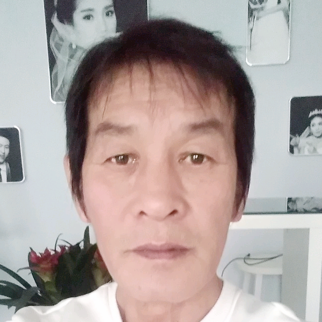 开心等待羊的照片