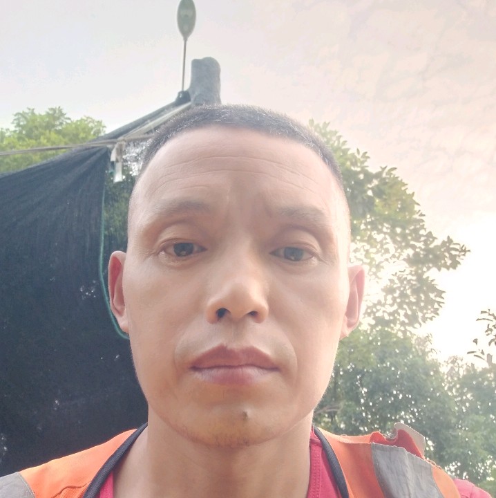绿茶多么儒雅的照片