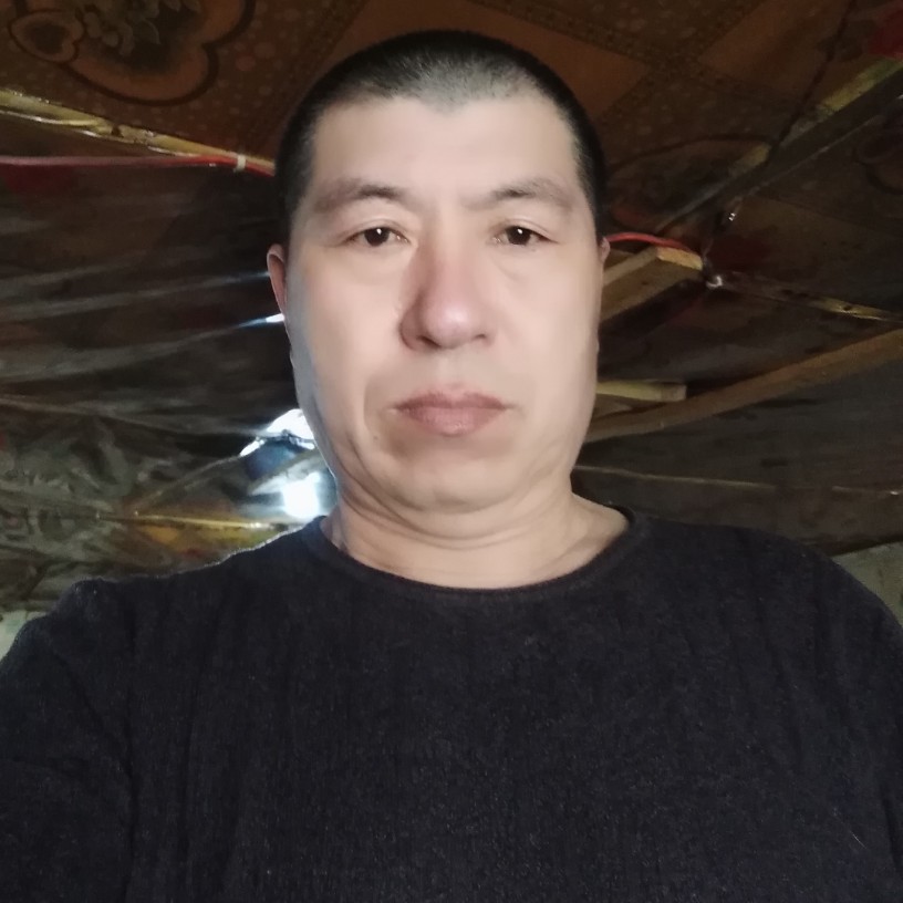 超帅大象的照片