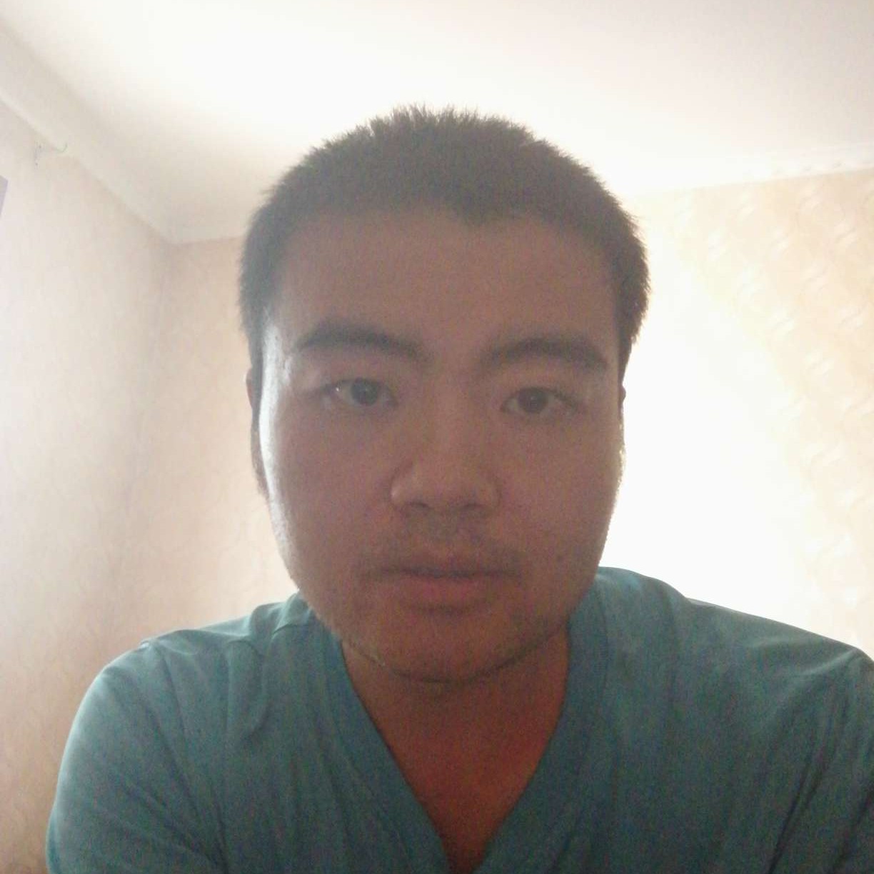 舒服回眸向日葵的照片