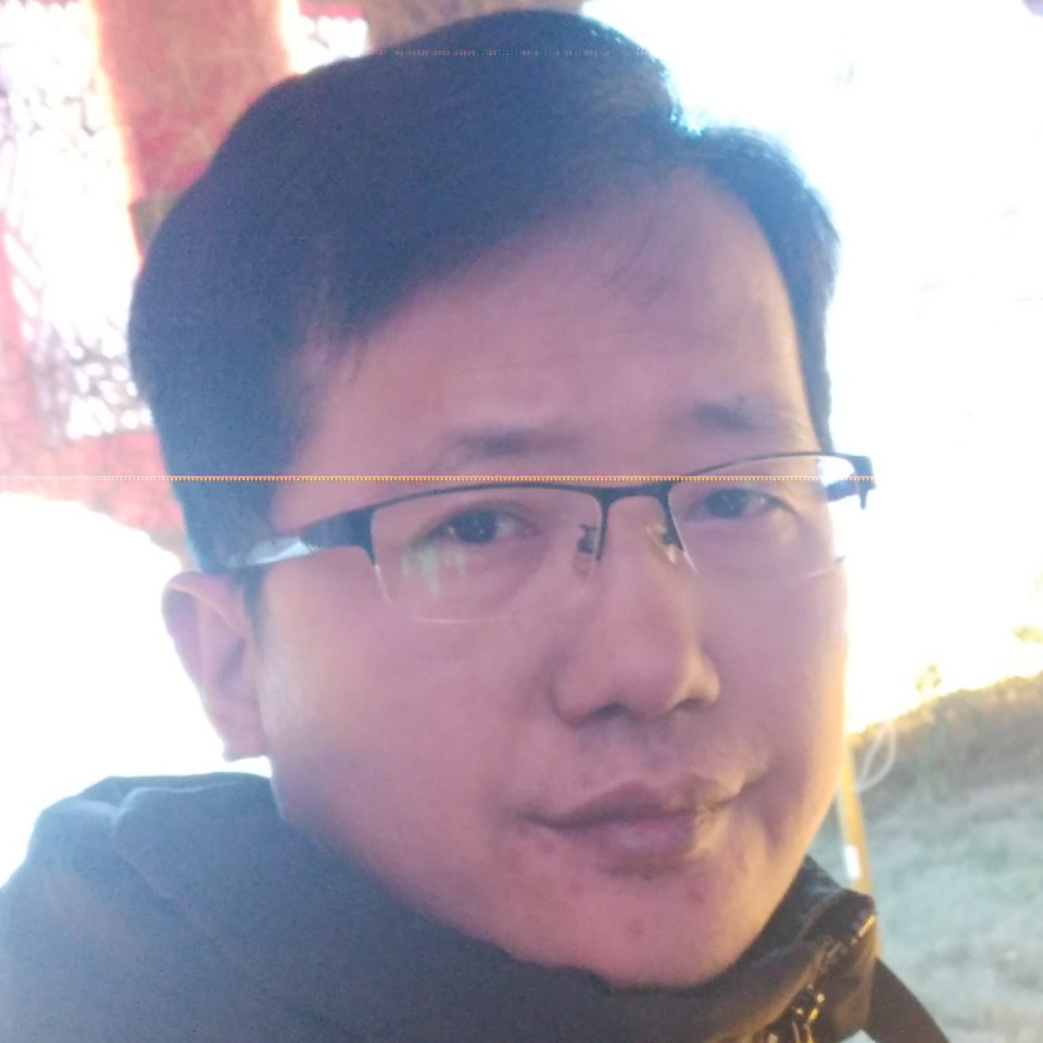 愉快蹙眉金毛的照片