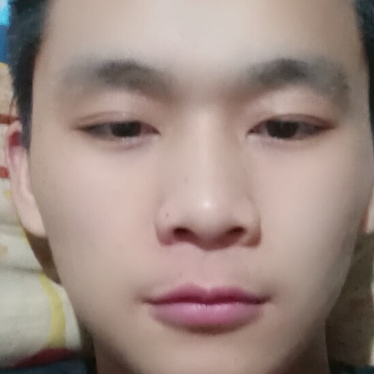 缥缈蹁跹绿草的照片