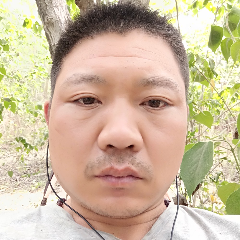 一叶孤舟望孤岛的照片