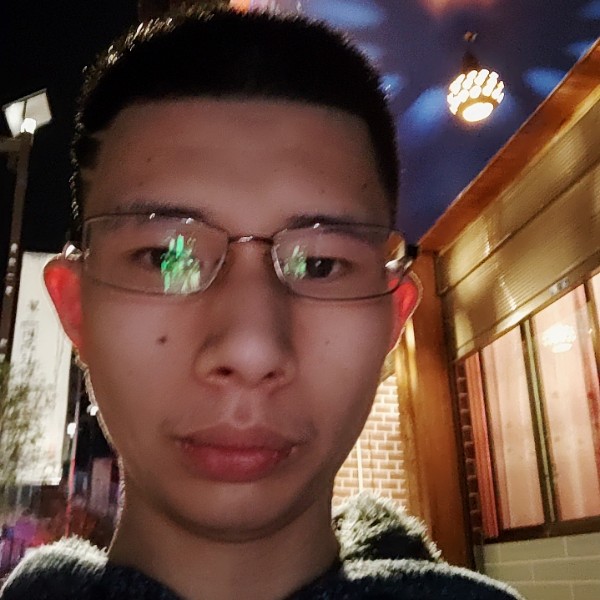 小懒猪停止自然的照片