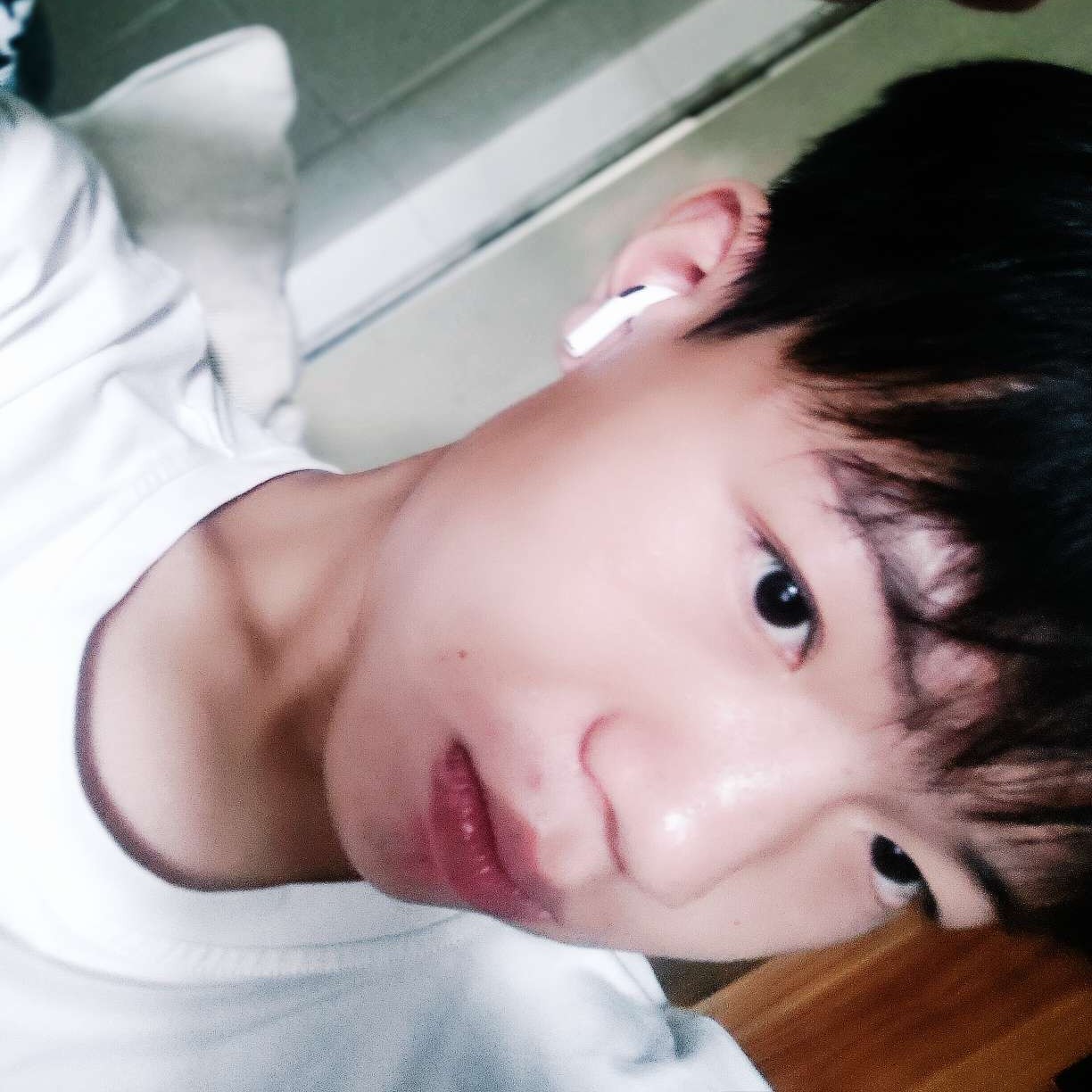 小熊猫传统的照片