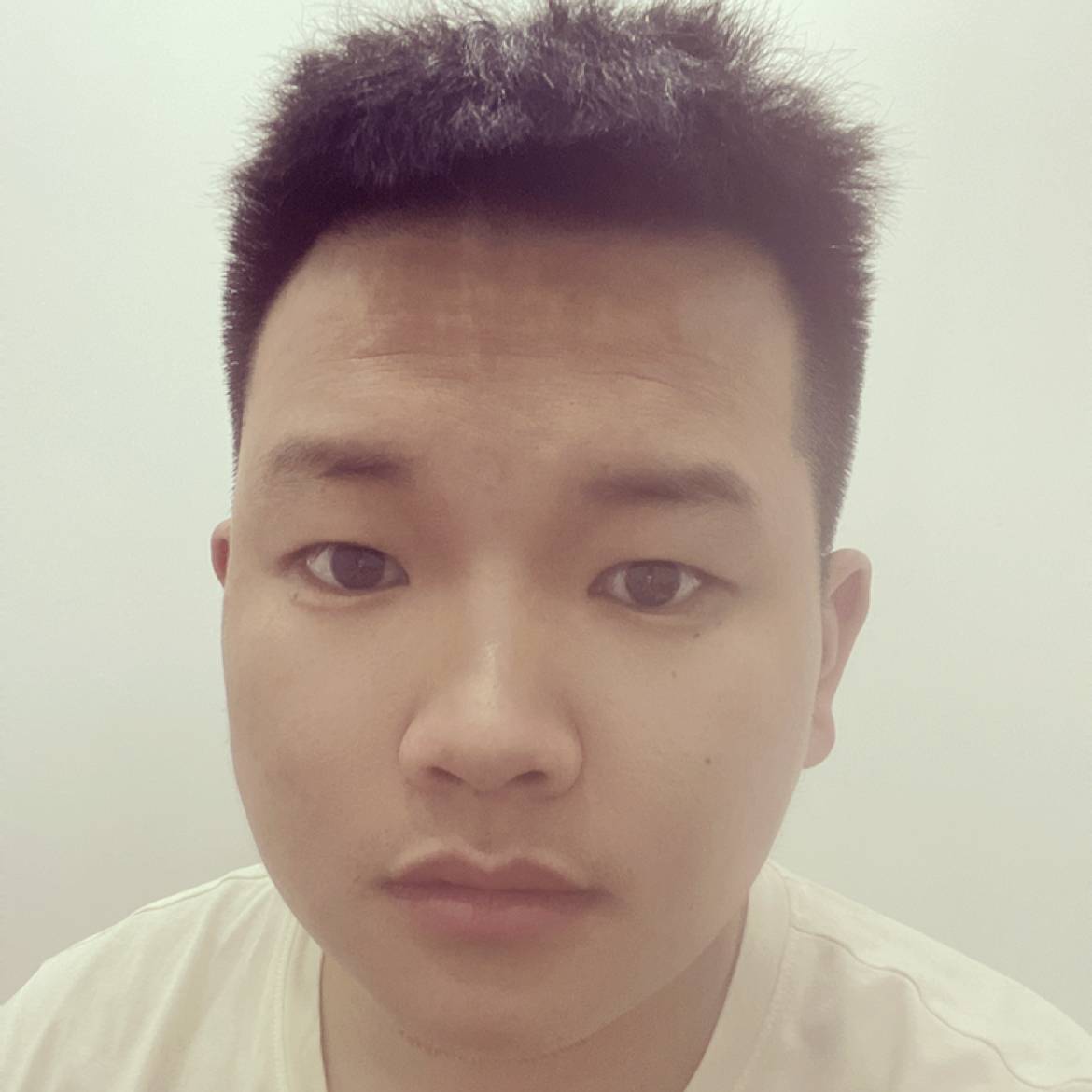 老虎矮小的照片