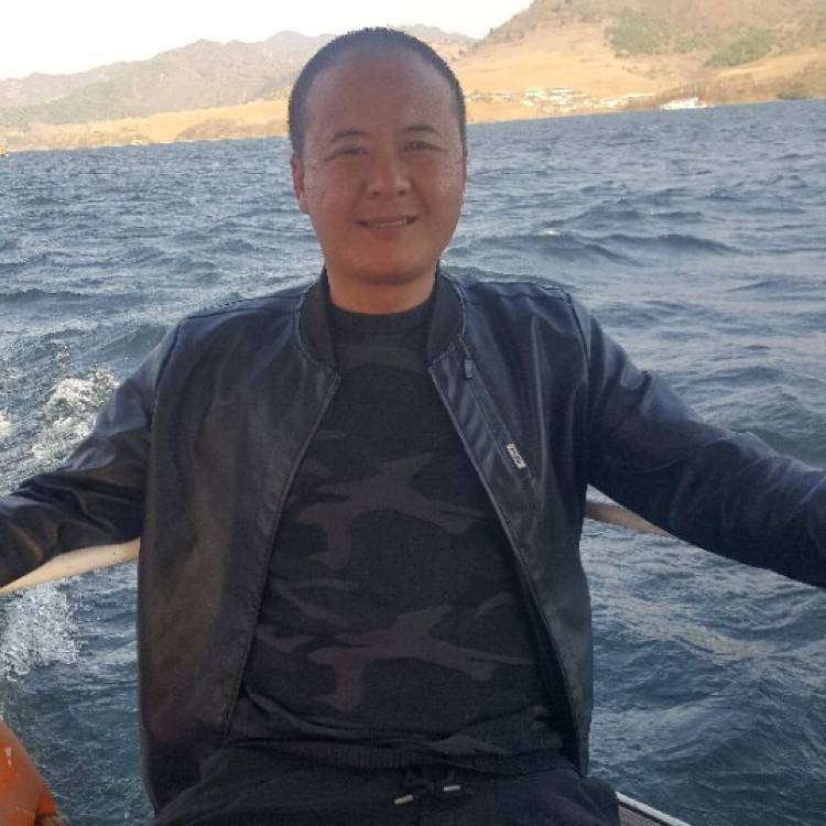 向日葵给拼搏的照片