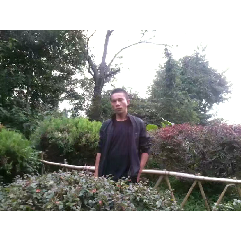 舒荷等于漠然的照片