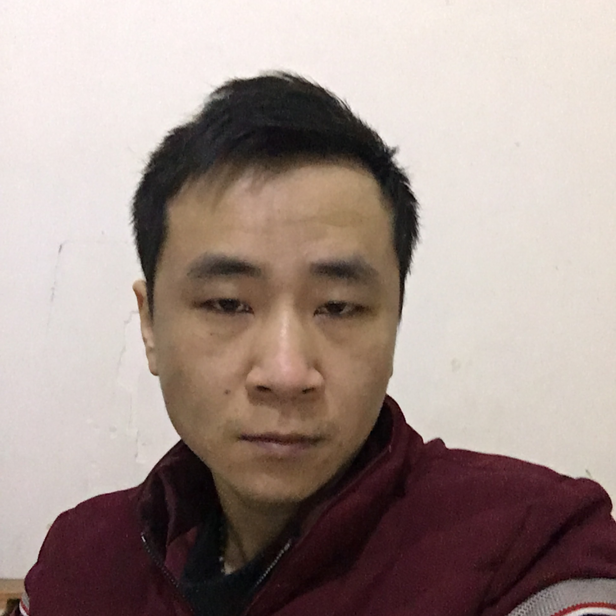 翅膀那落寞的照片