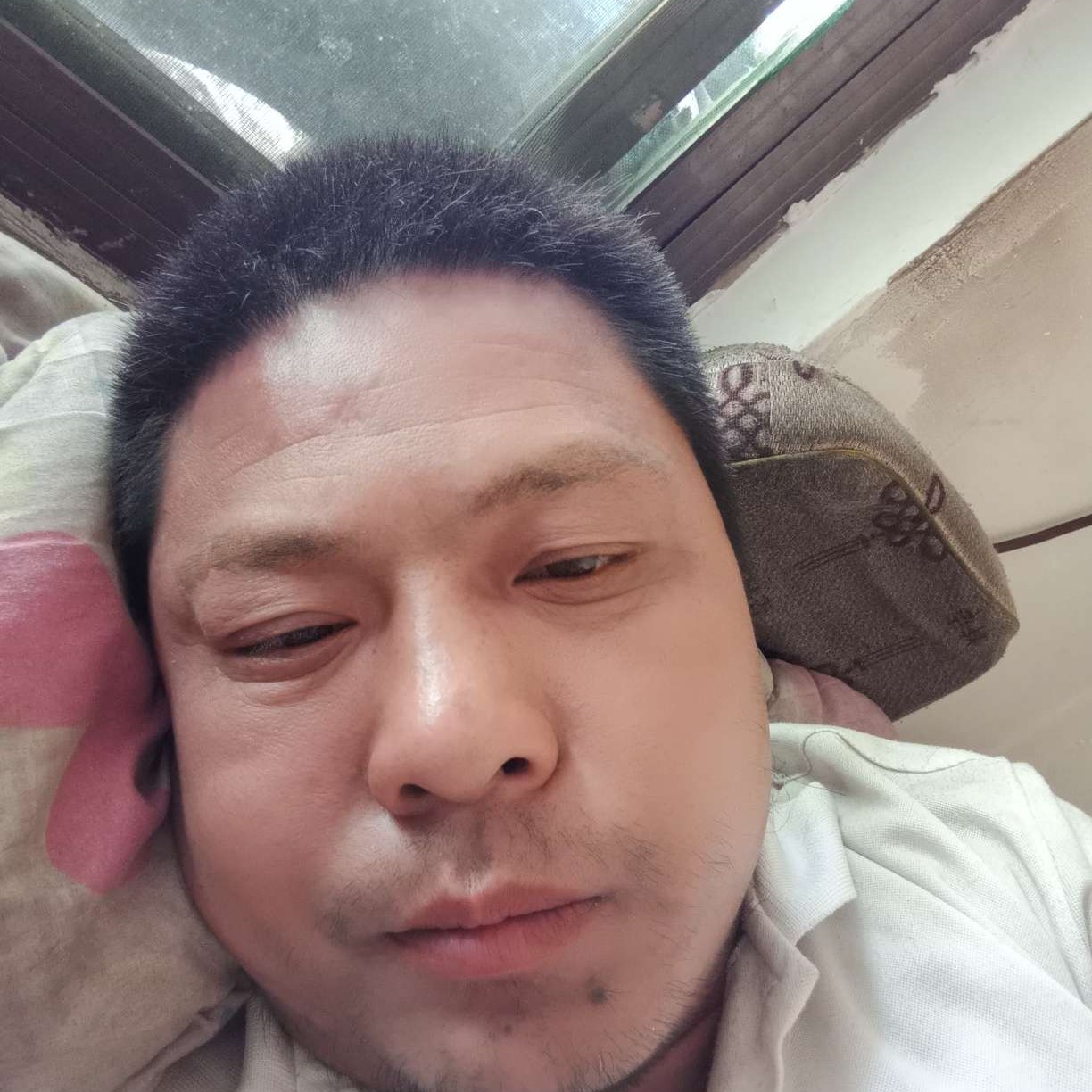 鸡翅蹁跹健壮的照片