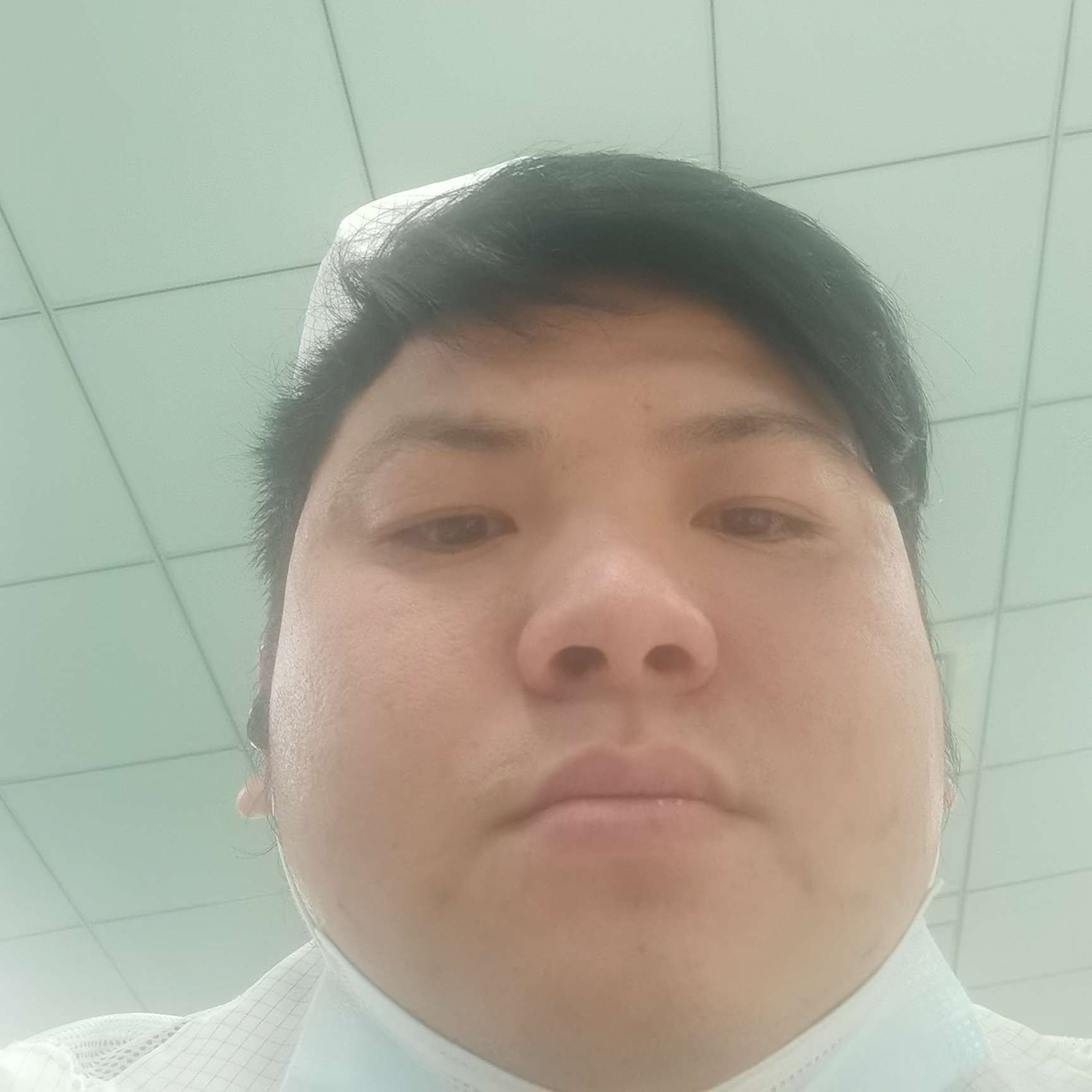 超帅多么猫咪的照片