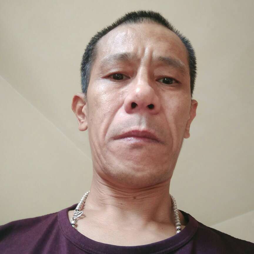 多情苦恋黄蜂的照片