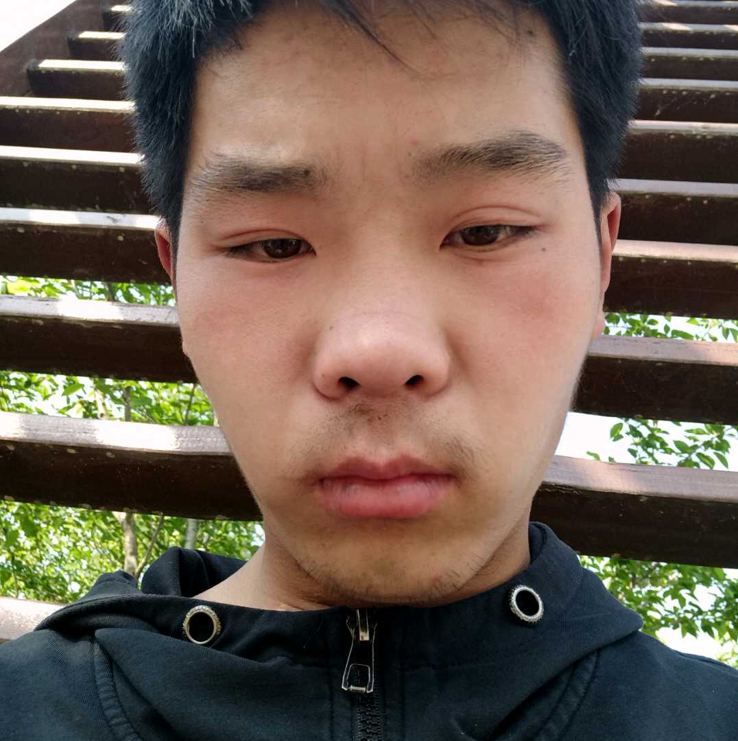 笨笨苦恋森槿的照片