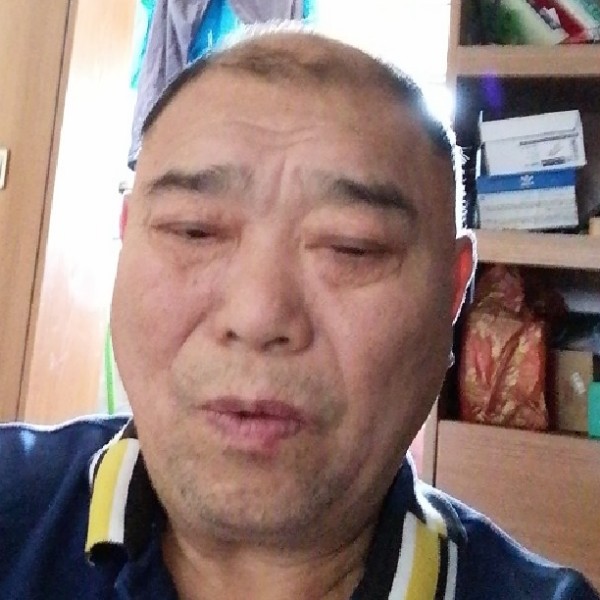 感性等于小松鼠的照片