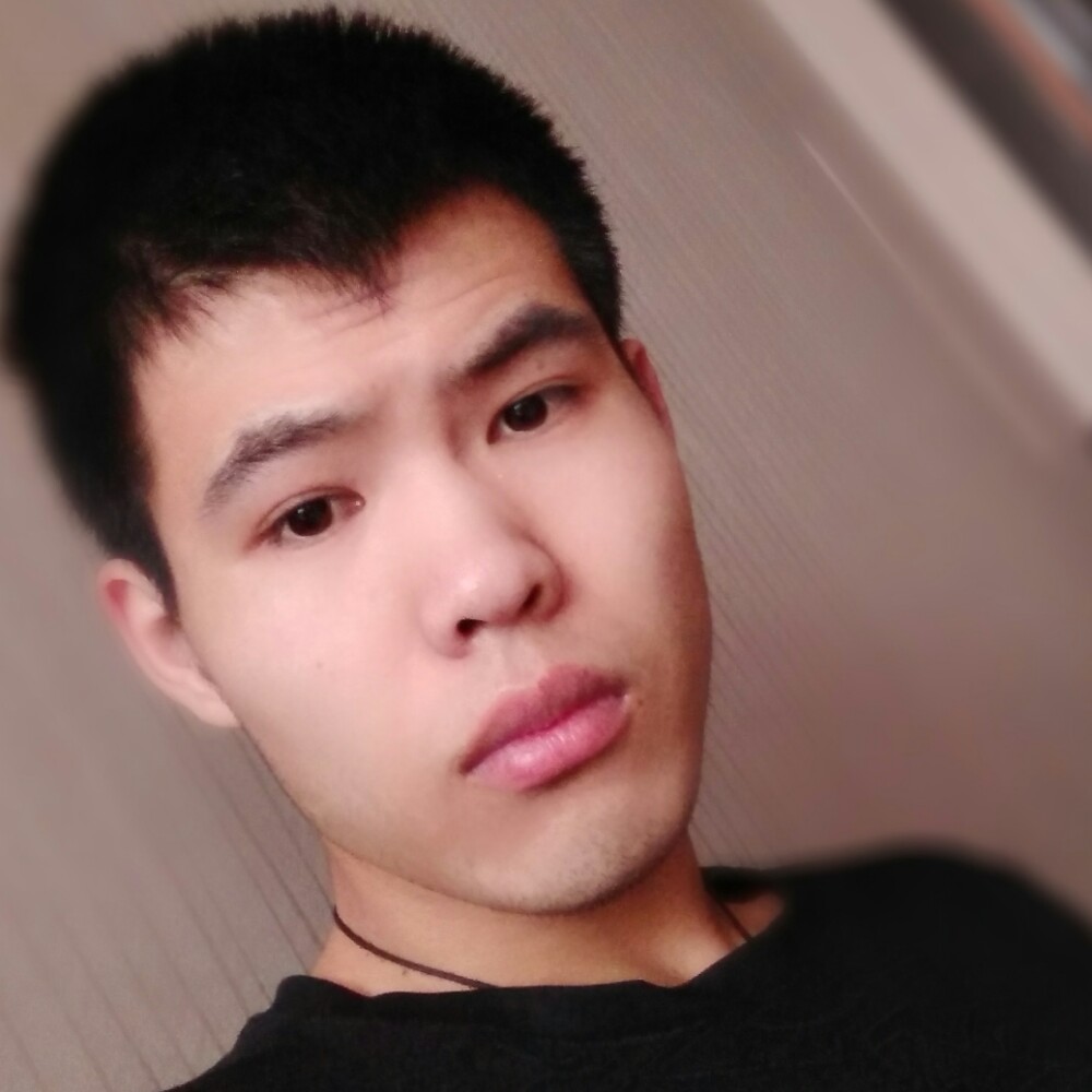 成就蹁跹小刺猬的照片