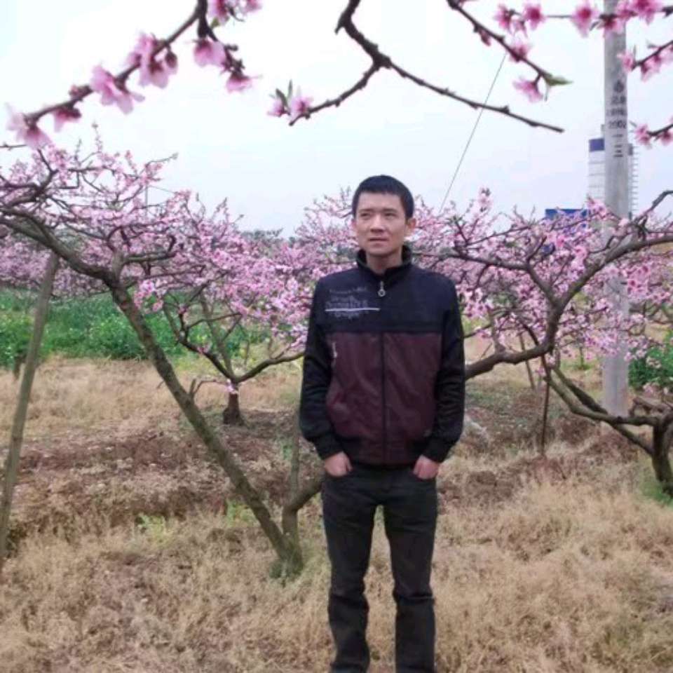 会员721393974的照片