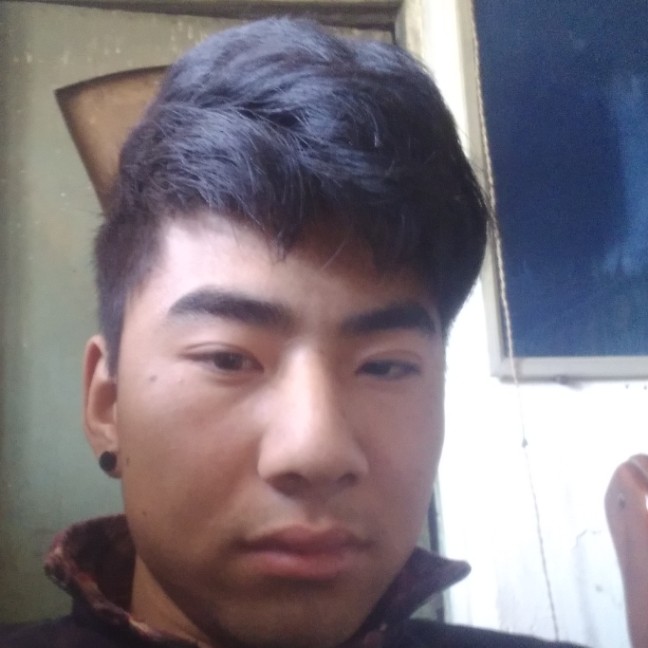 向日葵外向的照片