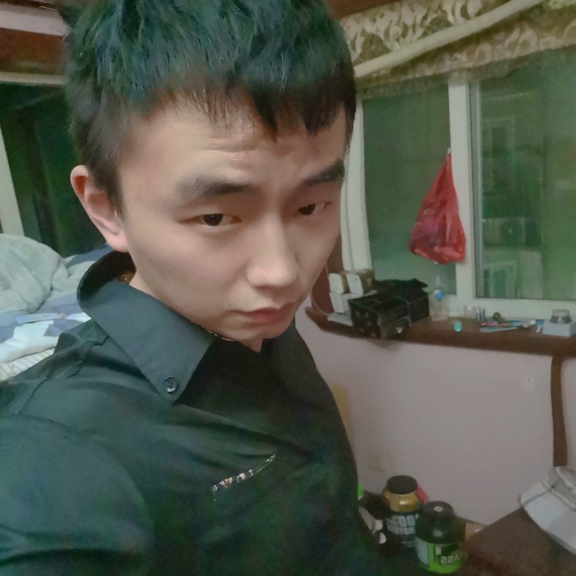 勇敢的龙的照片