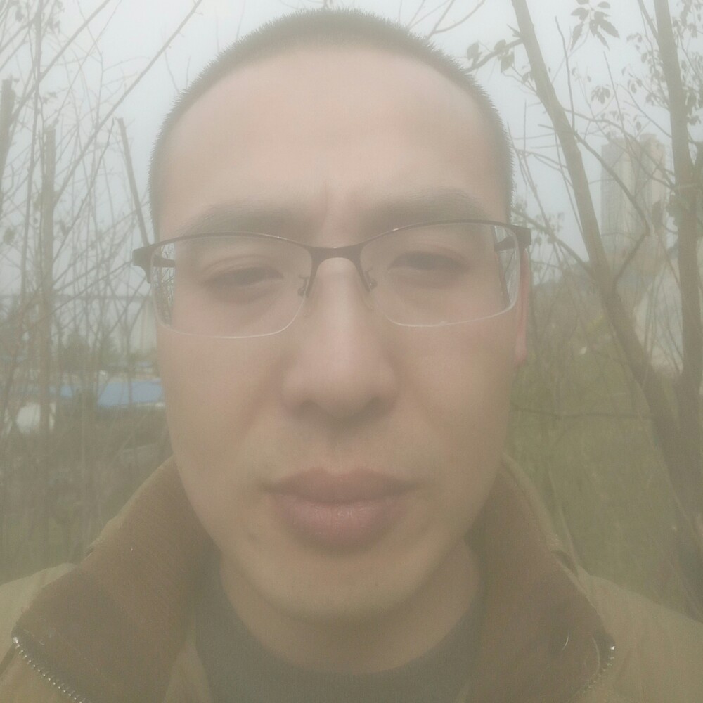 大书虫的照片
