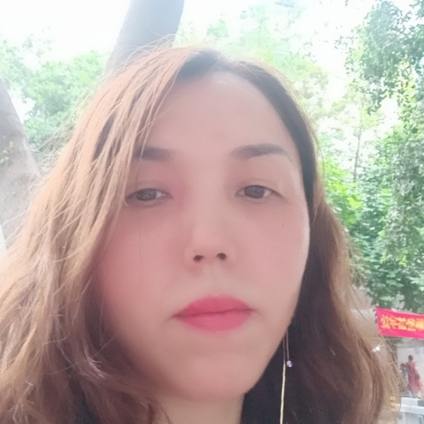 沉默演变汉堡的照片